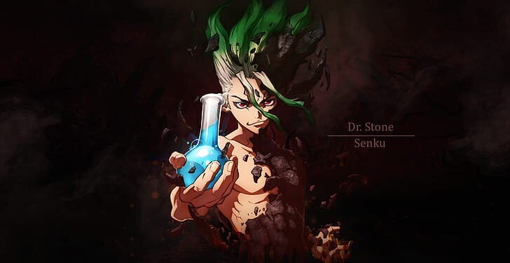 Dr. Stone