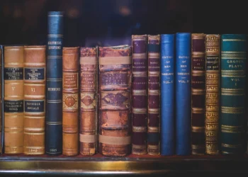 Books on a shelf, ready to be turned into movies and TV series