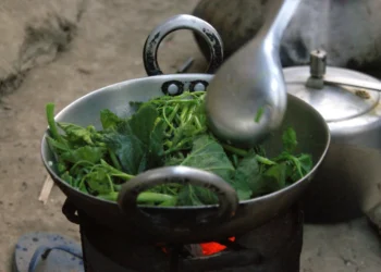 Cooking food at home with time-saving recipes