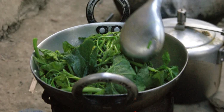 Cooking food at home with time-saving recipes