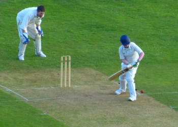 Cricket players in a match