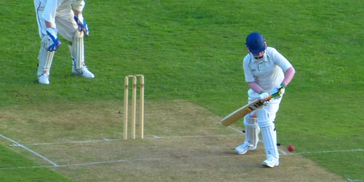 Cricket players in a match