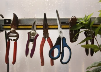 Garden tools related to tips before hiring landscaping services