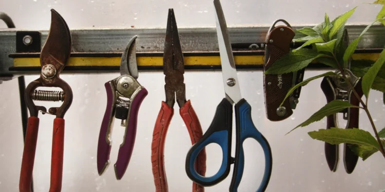 Garden tools related to tips before hiring landscaping services