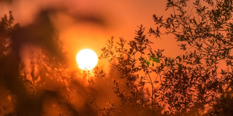 Bright sun related to France heatwave