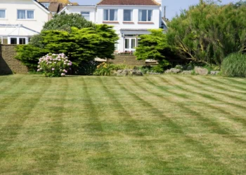Lawn related to five amazing lawn care tips for every home type