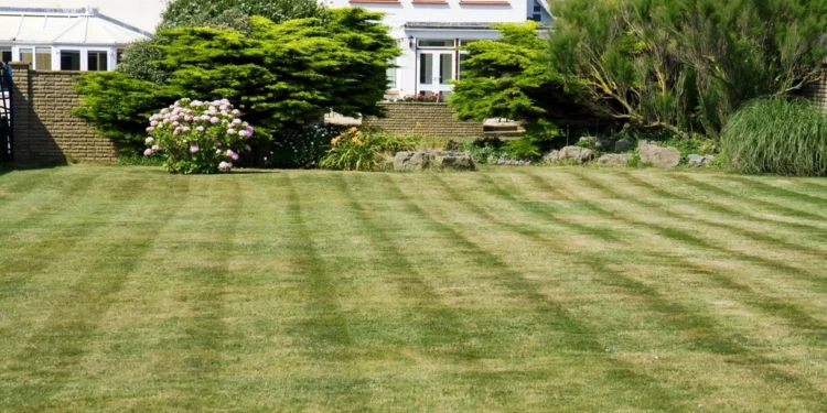 Lawn related to five amazing lawn care tips for every home type