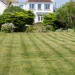 Lawn related to five amazing lawn care tips for every home type