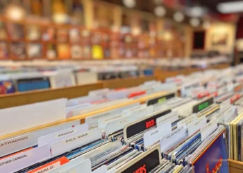 Vinyl record collection for recording artist Bash