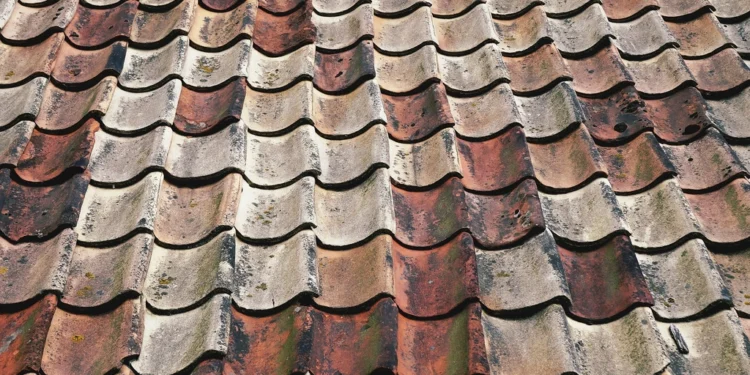Roof tiles related to choosing the best professional roofer