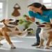 Professional Training For Dogs