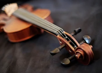 Violin related to tips for choosing the best musical instrument