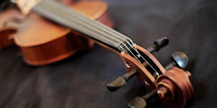 Violin related to tips for choosing the best musical instrument